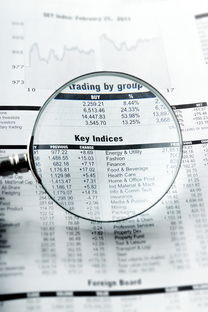 雅安同志供卵选性别：nt值偏高风险大吗下一步检查什么？